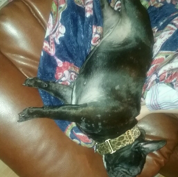 Meet your Posher, Tonya - Picture 1 of 1